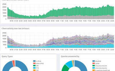 Pi-hole como solución DNS integral